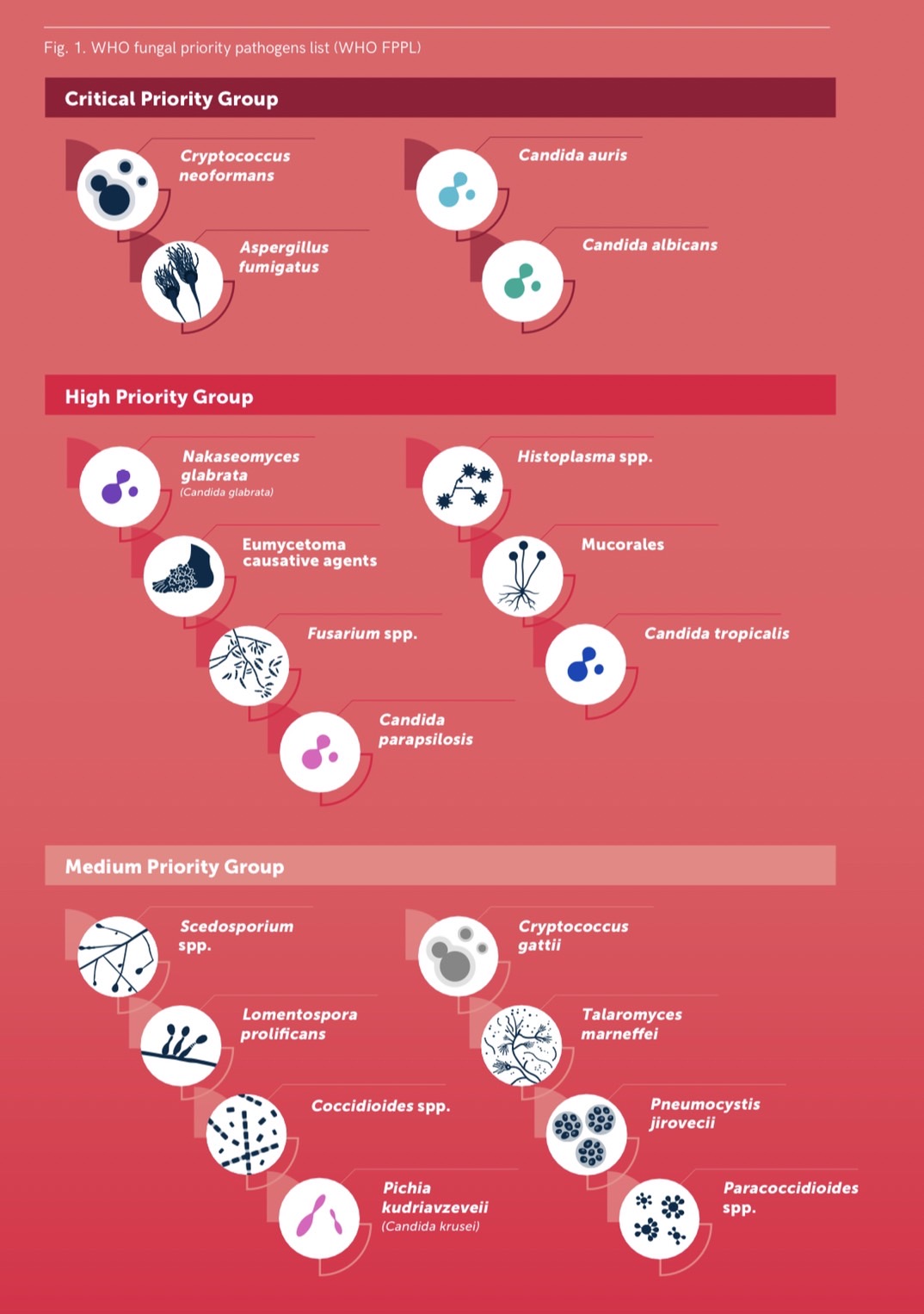 Fungal Priority Pathogens List FPPL TMMF
